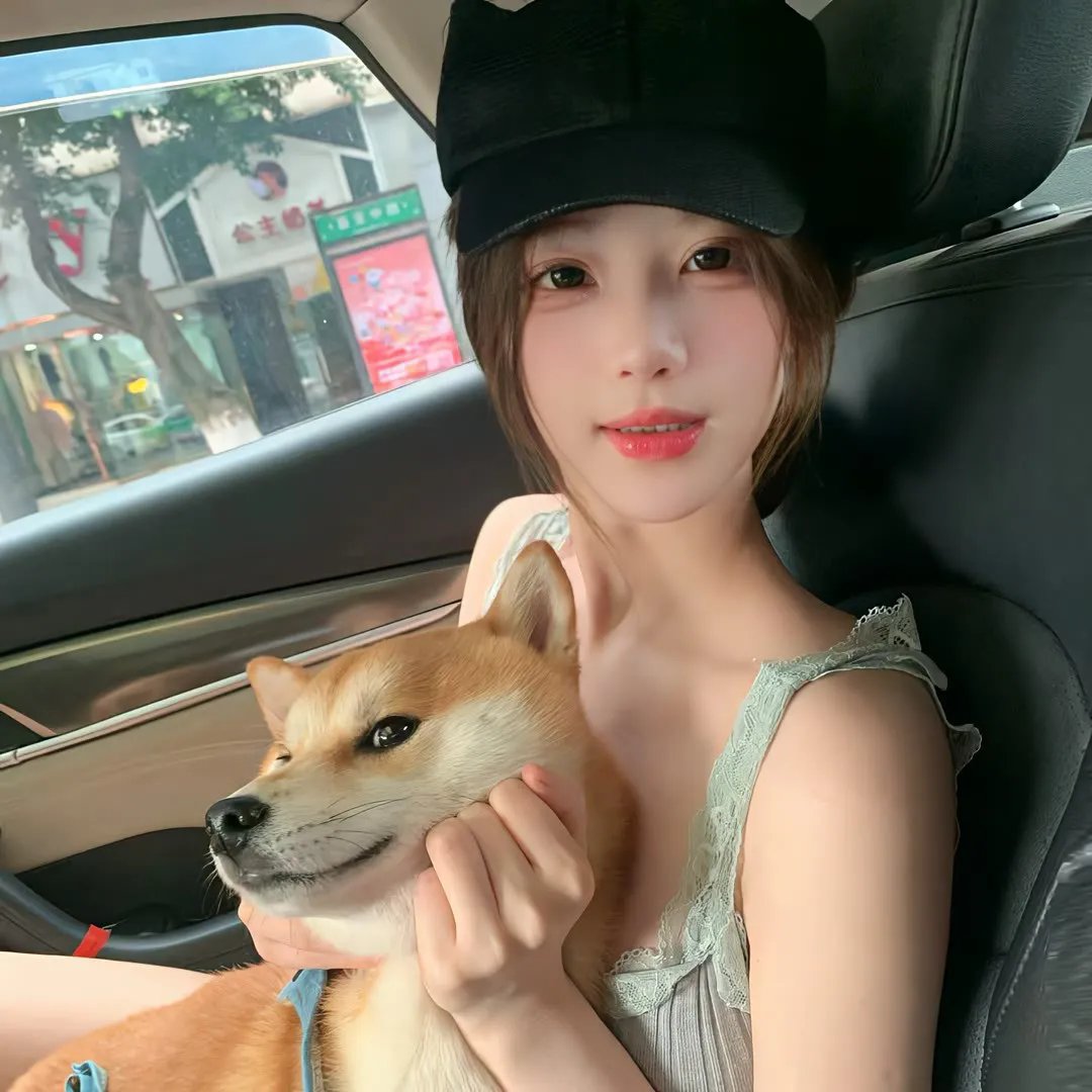 江南归来 海报